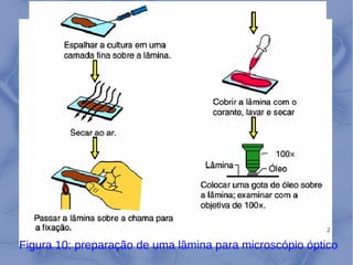 22
Figura 10: preparação de uma lâmina para microscópio óptico
 