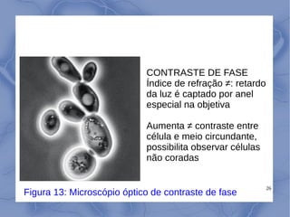 26
CONTRASTE DE FASE
Índice de refração ≠: retardo
da luz é captado por anel
especial na objetiva
Aumenta ≠ contraste entre
célula e meio circundante,
possibilita observar células
não coradas
Figura 13: Microscópio óptico de contraste de fase
 