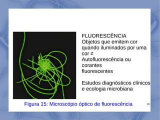 28
FLUORESCÊNCIA
Objetos que emitem cor
quando iluminados por uma
cor ≠
Autofluorescência ou
corantes
fluorescentes
Estudos diagnósticos clínicos
e ecologia microbiana
Figura 15: Microscópio óptico de fluorescência
 
