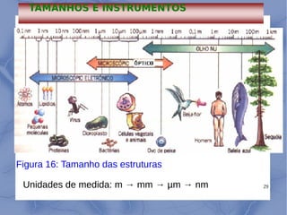 29
Figura 16: Tamanho das estruturas
Unidades de medida: m → mm → µm → nm
TAMANHOS E INSTRUMENTOS
 
