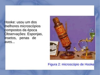 5
Hooke: usou um dos
melhores microscópios
compostos da época
Observações: Esponjas,
insetos, penas de
aves...
Figura 2: microscópio de Hooke
 