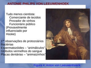 7
ANTONIE PHILIPS VON LEEUWENHOEK
Tudo menos cientista:
Comerciante de tecidos
Provador de vinhos
Funcionário público
(Provavelmente
influenciado por
Hooke)
Figura 4: Anton von Leeuwenhoeck
1as
observações de protozoários
Bactérias
Espermatozóides – “animálculos”
Glóbulos vermelhos do sangue
Placas dentárias – “animaizinhos”
 
