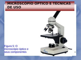 10
Figura 5: O
microscópio óptico e
seus componentes
MICROSCÓPIO ÓPTICO E TÉCNICAS
DE USO
 