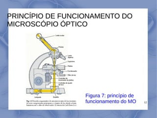 12
Figura 7: princípio de
funcionamento do MO
PRINCÍPIO DE FUNCIONAMENTO DO
MICROSCÓPIO ÓPTICO
 