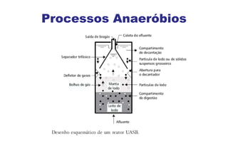 Processos Anaeróbios
 