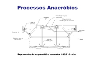 Processos Anaeróbios
Representação esquemática de reator UASB circular
 