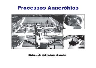 Processos Anaeróbios
Sistema de distribuição efluentes
 