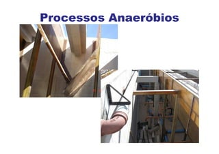 Processos Anaeróbios
 