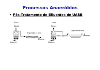 • Pós-Tratamento de Efluentes de UASB
Processos Anaeróbios
 