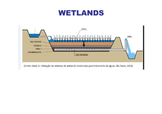 WETLANDS
 