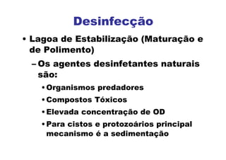 Desinfecção
• Lagoa de Estabilização (Maturação e
de Polimento)
– Os agentes desinfetantes naturais
são:
•Organismos predadores
•Compostos Tóxicos
•Elevada concentração de OD
•Para cistos e protozoários principal
mecanismo é a sedimentação
 