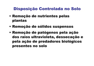Disposição Controlada no Solo
• Remoção de nutrientes pelas
plantas
• Remoção de sólidos suspensos
• Remoção de patógenos pela ação
dos raios ultravioleta, dessecação e
pela ação de predadores biológicos
presentes no solo
 