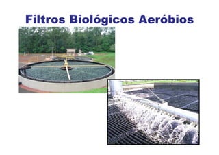 Filtros Biológicos Aeróbios
 