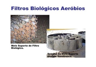 Meio Suporte de Filtro
Biológico.
Detalhe de Meio Suporte
modelo Randômico.
Filtros Biológicos Aeróbios
 