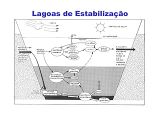 Lagoas de Estabilização
 
