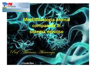 Morfofisiologia animal
comparada II:
sistema nervoso

Profº Adriano Alvarenga

 
