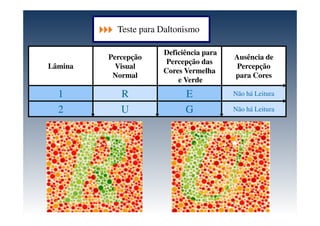 Lâmina
Percepção
Visual
Normal
Deficiência para
Percepção das
Cores Vermelha
e Verde
Ausência de
Percepção
para Cores
1 R E Não há Leitura
2 U G Não há Leitura
Teste para Daltonismo
 