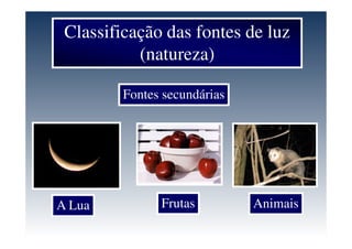 Classificação das fontes de luz
(natureza)
Fontes secundárias
A Lua Frutas Animais
 