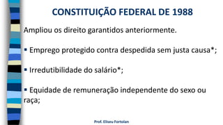 Prof. Eliseu Fortolan
Ampliou os direito garantidos anteriormente.
 Emprego protegido contra despedida sem justa causa*;
 Irredutibilidade do salário*;
 Equidade de remuneração independente do sexo ou
raça;
CONSTITUIÇÃO FEDERAL DE 1988
 