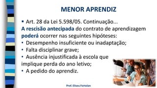 Prof. Eliseu Fortolan
 Art. 28 da Lei 5.598/05. Continuação...
A rescisão antecipada do contrato de aprendizagem
poderá ocorrer nas seguintes hipóteses:
• Desempenho insuficiente ou inadaptação;
• Falta disciplinar grave;
• Ausência injustificada à escola que
implique perda do ano letivo;
• A pedido do aprendiz.
MENOR APRENDIZ
 
