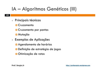Aulas - Adm. de Sist. de Informacao - 2009