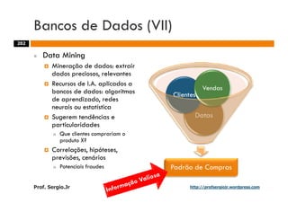 Aulas - Adm. de Sist. de Informacao - 2009