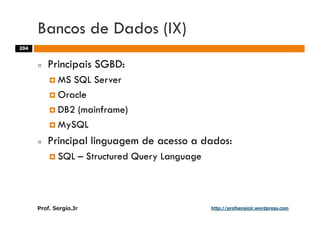 Aulas - Adm. de Sist. de Informacao - 2009