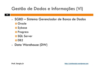 Aulas - Adm. de Sist. de Informacao - 2009