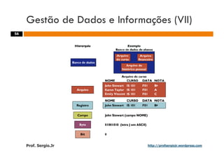 Aulas - Adm. de Sist. de Informacao - 2009