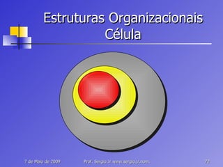Estruturas Organizacionais Célula 