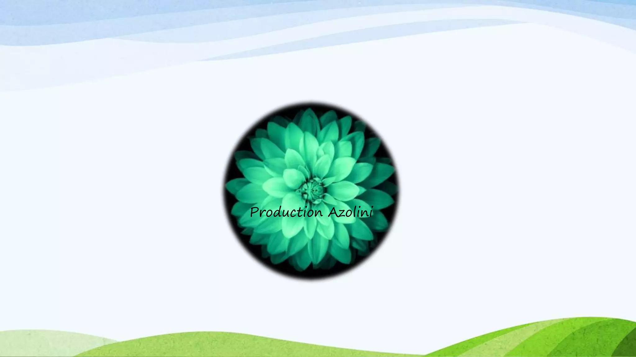 Production Azolini
 
