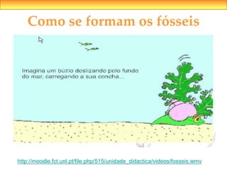 Como se formam os fósseis
http://moodle.fct.unl.pt/file.php/515/unidade_didactica/videos/fosseis.wmv
 