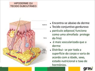 HIPODERME OU
TECIDO SUBCUTÂNEO
 Encontra-se abaixo da derme
 Tecido conjuntivo gorduroso
 panículo adiposo( funciona
como uma almofada protege
do frio)
 é mais vascularizada que a
derme
 Distribui- se por toda a
superfície do corpo e varia de
acordo com a idade, sexo,
estado nutricional e taxa de
hormônios.
 