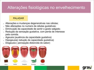 Alterações fisiológicas no envelhecimento
PALADAR
 Alterações e mudanças degenerativas nas células;
 Não alterações no numero de células gustativas;
 Diminuição da capacidade de sentir o gosto salgado;
 Redução da sensação gustativa, com perda de interesse
pela comida.
 Ageusia (ausência da capacidade gustativa)
 Hipogeusia( redução da capacidade gustativa)
 Disgeusia ( percepção distorcida do sabor)
 