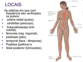 LOCAIS
As artérias em que com
freqüência são verificados
os pulsos:
artéria radial (pulso),
carótidas (pescoço),
braquial(espaço anti-
cubital),
femurais (reg. Inguinal),
pediosas (pés),
temporal (face - têmporas),
Poplítea (joelhos) e
tibial posterior (tornozelos).
●
●
●
●
●
●
●
●
 