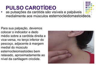 PULSO CAROTÍDEO
● as pulsações da carótida são visíveis e palpáveis
medialmente aos músculos esternocleidomastoideos.
Para sua palpação, devemos
colocar o indicador e dedo
médio sobre a carótida direita e
vice-versa, no terço inferior do
pescoço, adjacente à margem
medial do músculo
esternocleiomastoideo bem
relaxado, aproximadamente ao
nível da cartilagem cricóide.
 