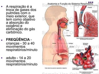 ● A respiração é a
troca de gases dos
pulmões com o
meio exterior, que
tem como objetivo
a absorção do
oxigênio e
eliminação do gás
carbônico.
● FREQÜÊNCIA -
crianças - 30 a 40
movimentos
respiratórios/minuto
● adulto - 14 a 20
movimentos
respiratórios/minuto
 