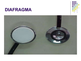 DIAFRAGMA
 