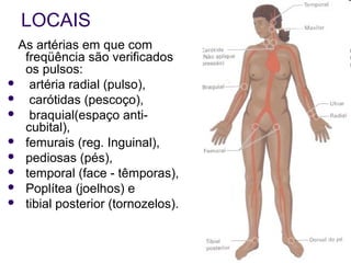 LOCAIS 
As artérias em que com 
freqüência são verificados 
os pulsos: 
 artéria radial (pulso), 
 carótidas (pescoço), 
 braquial(espaço anti-cubital), 
 femurais (reg. Inguinal), 
 pediosas (pés), 
 temporal (face - têmporas), 
 Poplítea (joelhos) e 
 tibial posterior (tornozelos). 
 