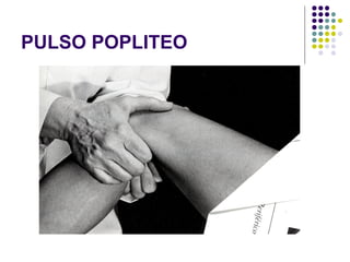 PULSO POPLITEO 
 