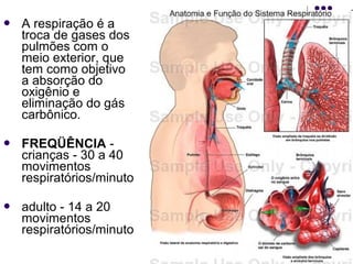  A respiração é a 
troca de gases dos 
pulmões com o 
meio exterior, que 
tem como objetivo 
a absorção do 
oxigênio e 
eliminação do gás 
carbônico. 
 FREQÜÊNCIA - 
crianças - 30 a 40 
movimentos 
respiratórios/minuto 
 adulto - 14 a 20 
movimentos 
respiratórios/minuto 
 