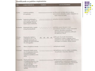 Aula sinais vitais