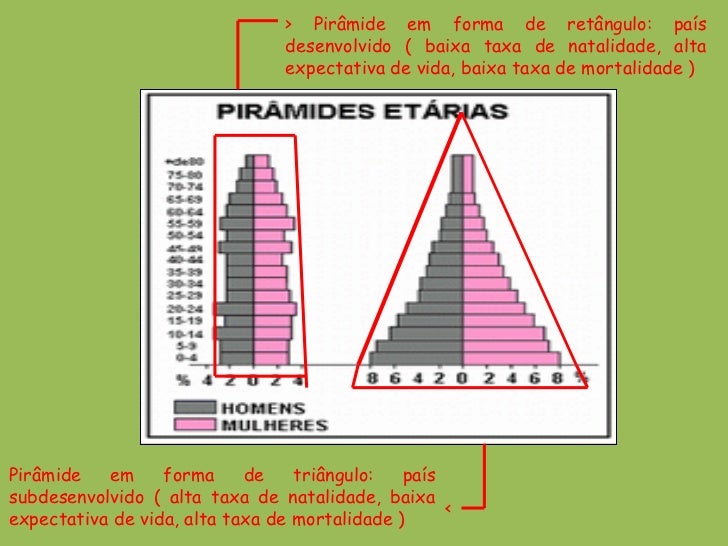 Aulas 3 e 4 População