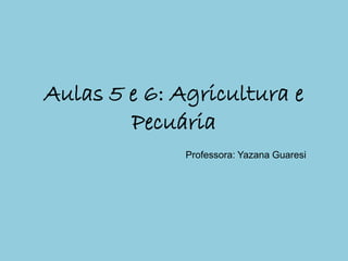 Aulas 5 e 6: Agricultura e
        Pecuária
              Professora: Yazana Guaresi
 