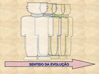 SENTIDO DA EVOLUÇÃO 