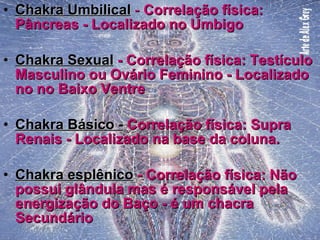 Chakra Umbilical  -  Correlação física: Pâncreas - Localizado no Umbigo Chakra Sexual  - Correlação física: Testículo Masculino ou Ovário Feminino - Localizado no no Baixo Ventre Chakra Básico -  Correlação física: Supra Renais - Localizado na base da coluna.  Chakra esplênico  - Correlação física: Não possui glândula mas é responsável pela energização do Baço - é um chacra Secundário   