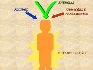 METABOLIZAÇÃO FLUIDOS ENERGIAS VIBRAÇÕES E PENSAMENTOS 