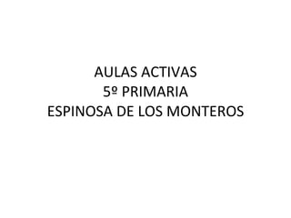 AULAS ACTIVAS 5º PRIMARIA ESPINOSA DE LOS MONTEROS 