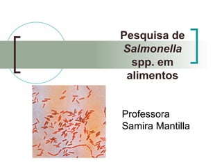 Pesquisa de
Salmonella
spp. em
alimentos
Professora
Samira Mantilla
 