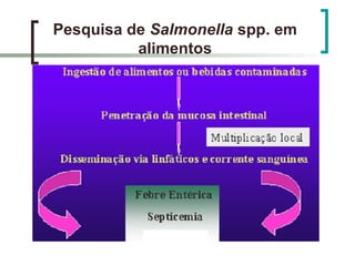 Pesquisa de Salmonella spp. em
alimentos
 